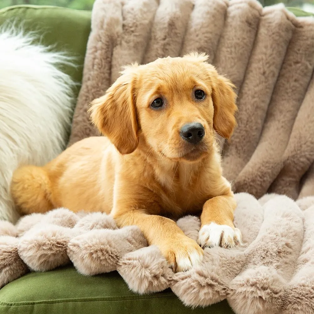 Aspen Pet Blanket - Taupe