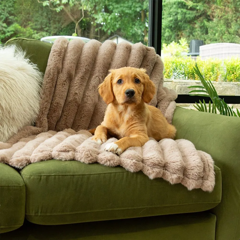 Aspen Pet Blanket - Taupe