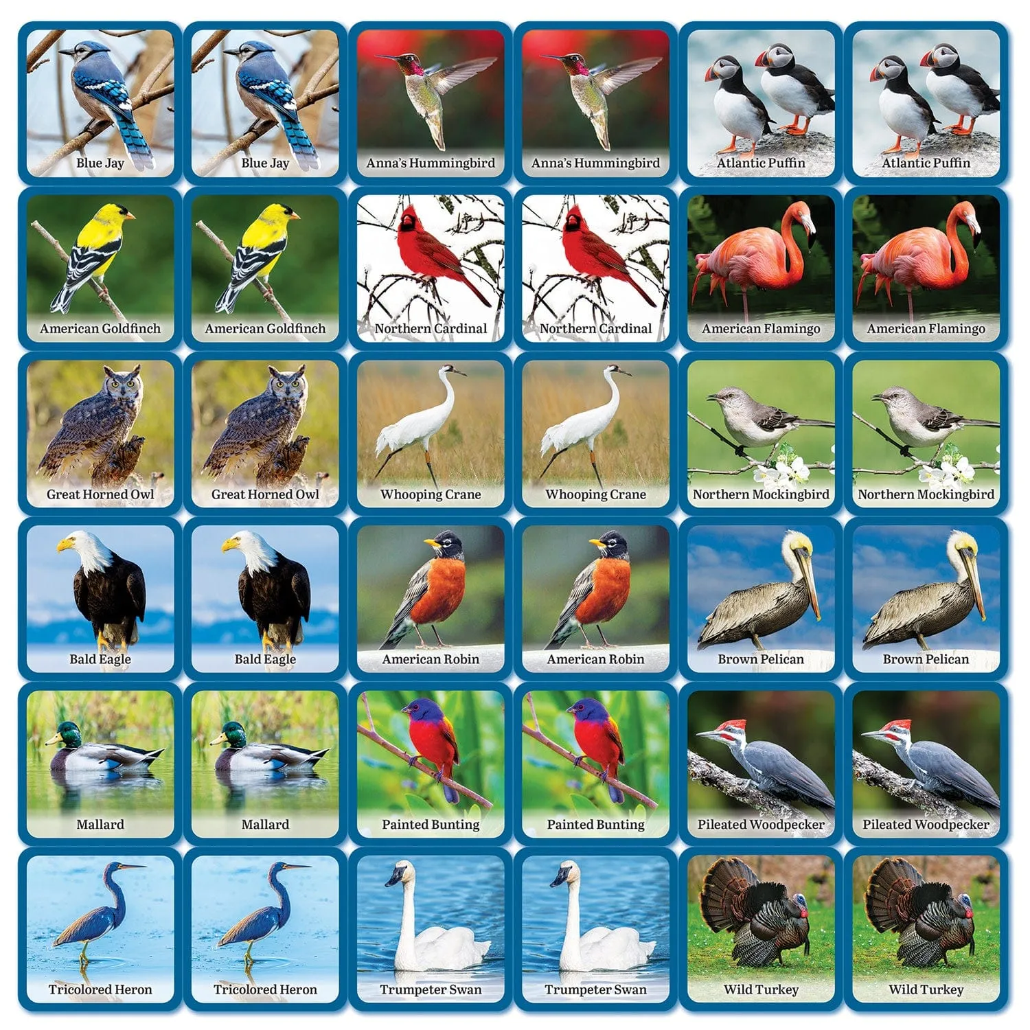 Audubon - Bird Matching Game