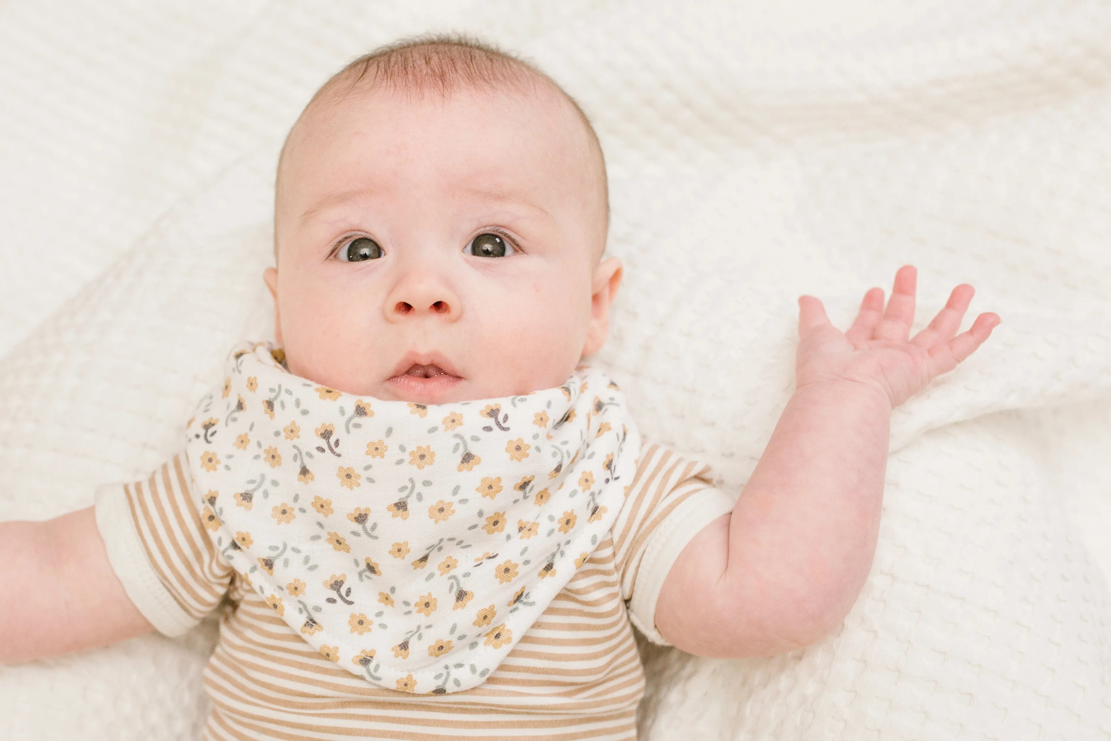 Bandana Bibs