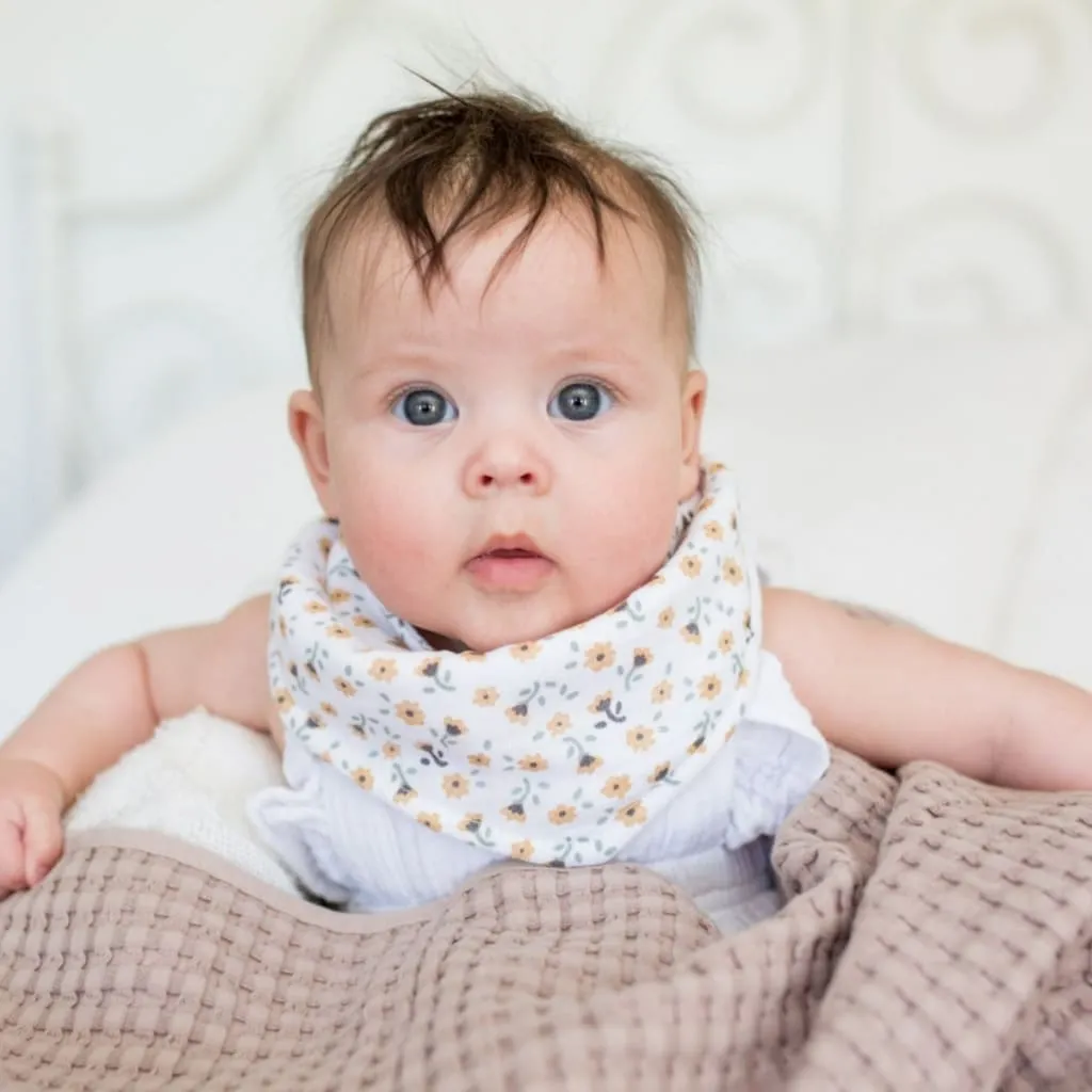 Bandana Bibs