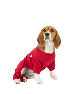 Dogs Solid Color Red Pajamas