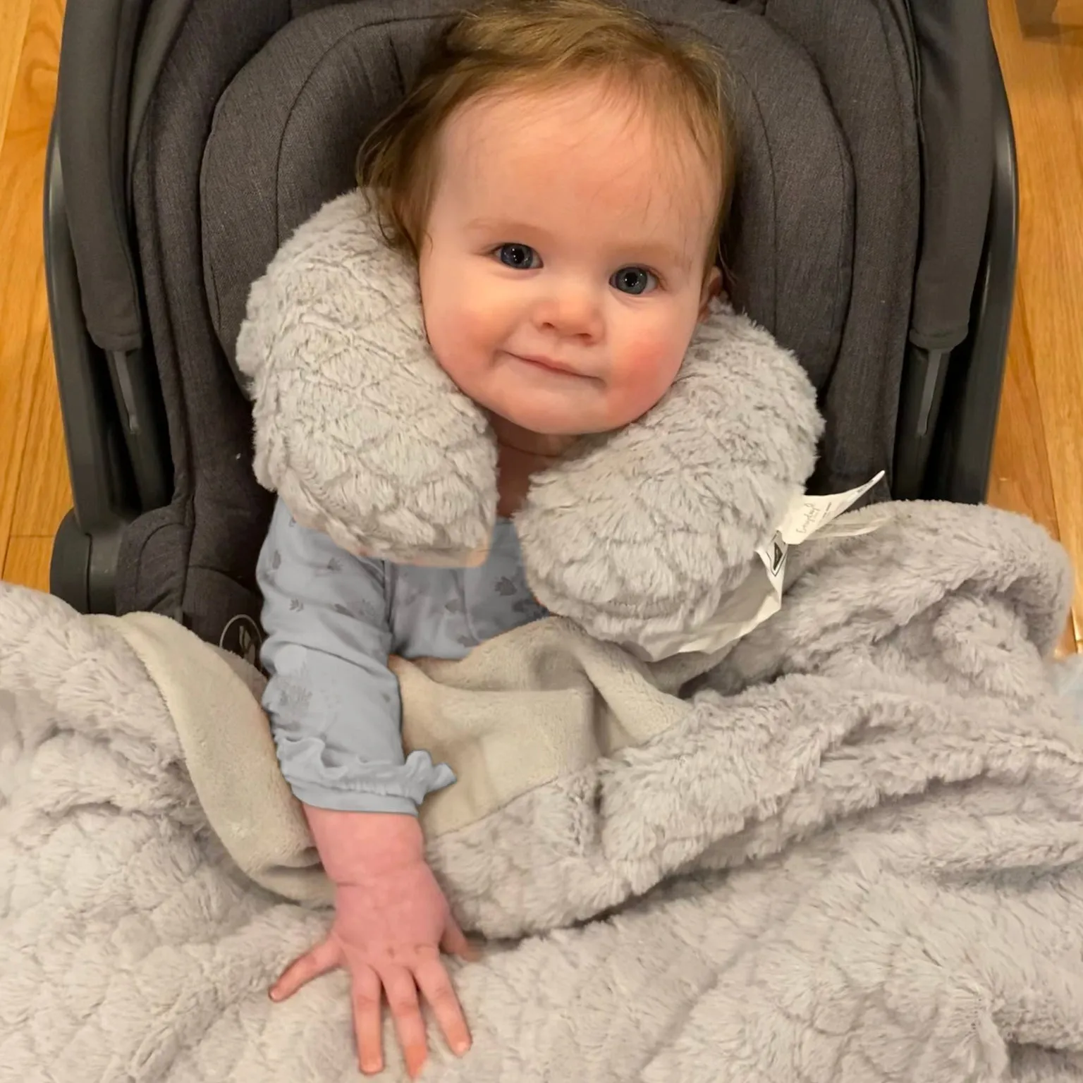 Gray Baby Blanket with Travel Pillow