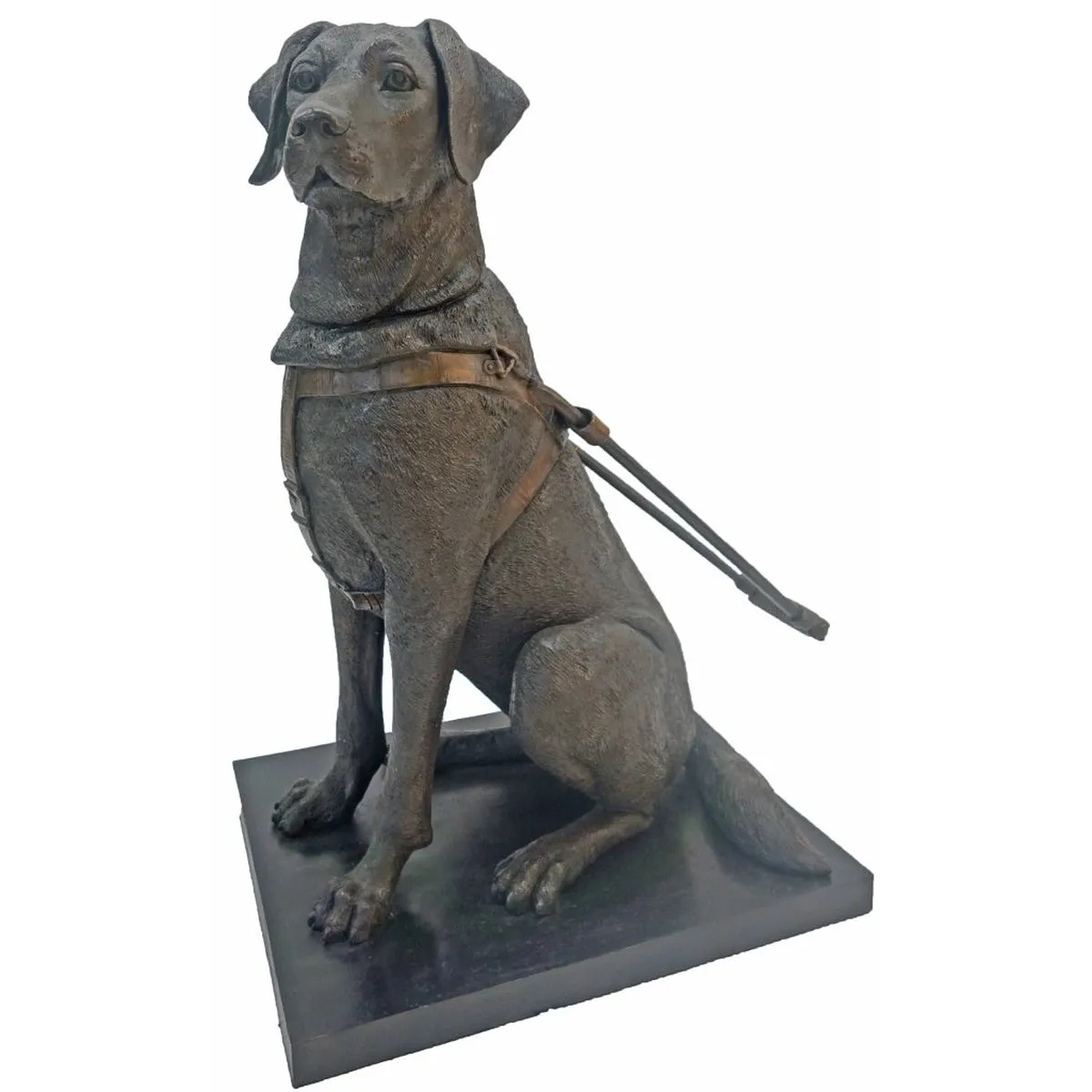 Guiding Eyes Labrador Statue