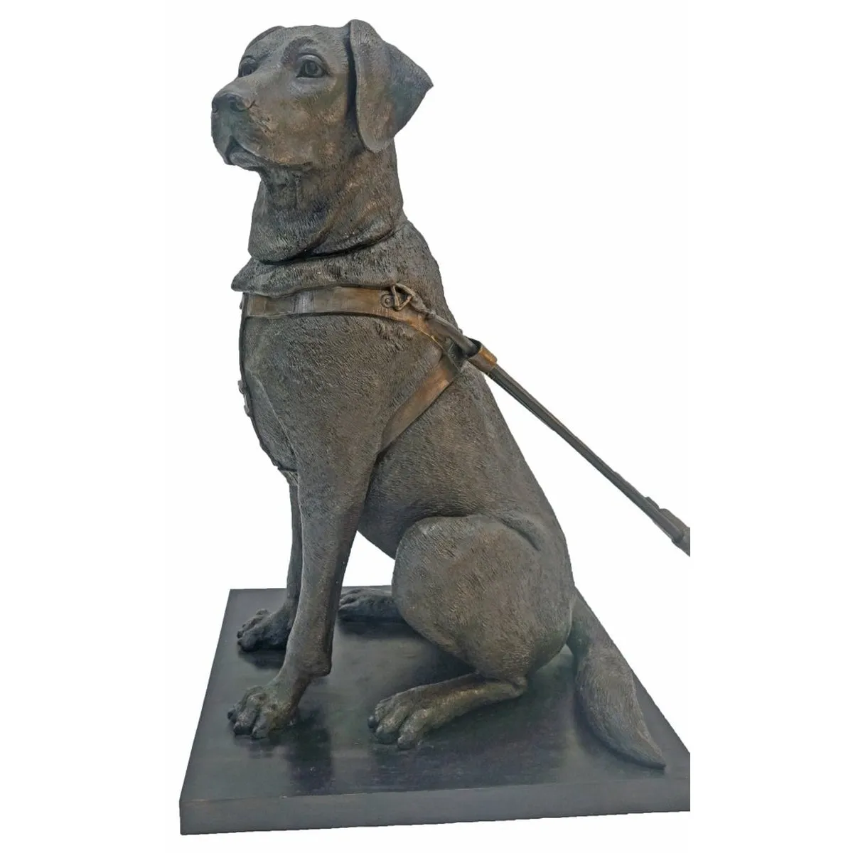 Guiding Eyes Labrador Statue