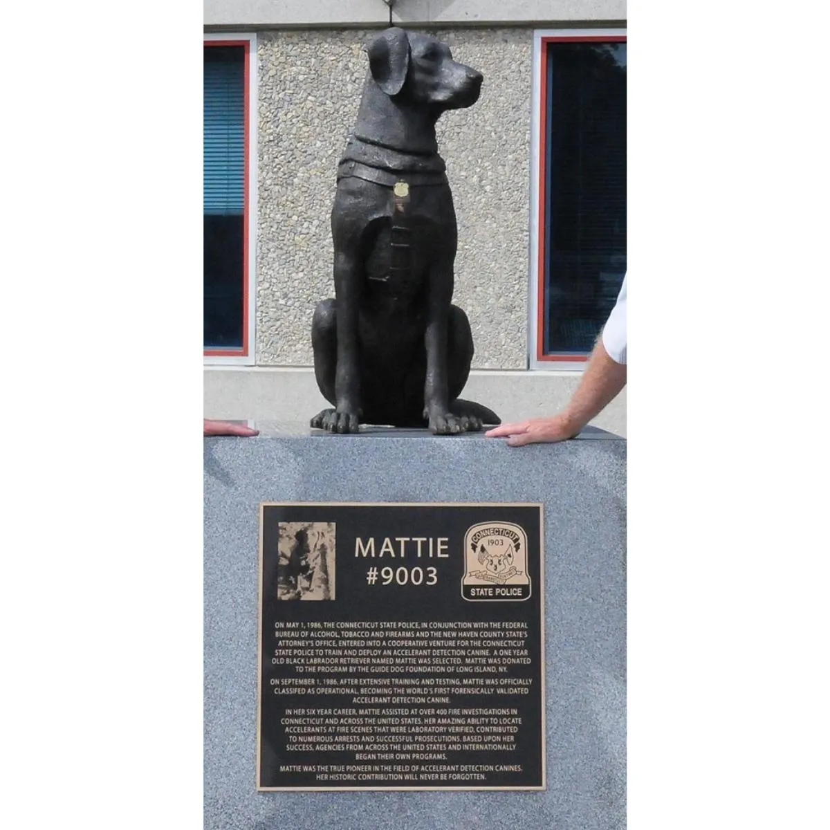 Mattie K9 Labrador Statue