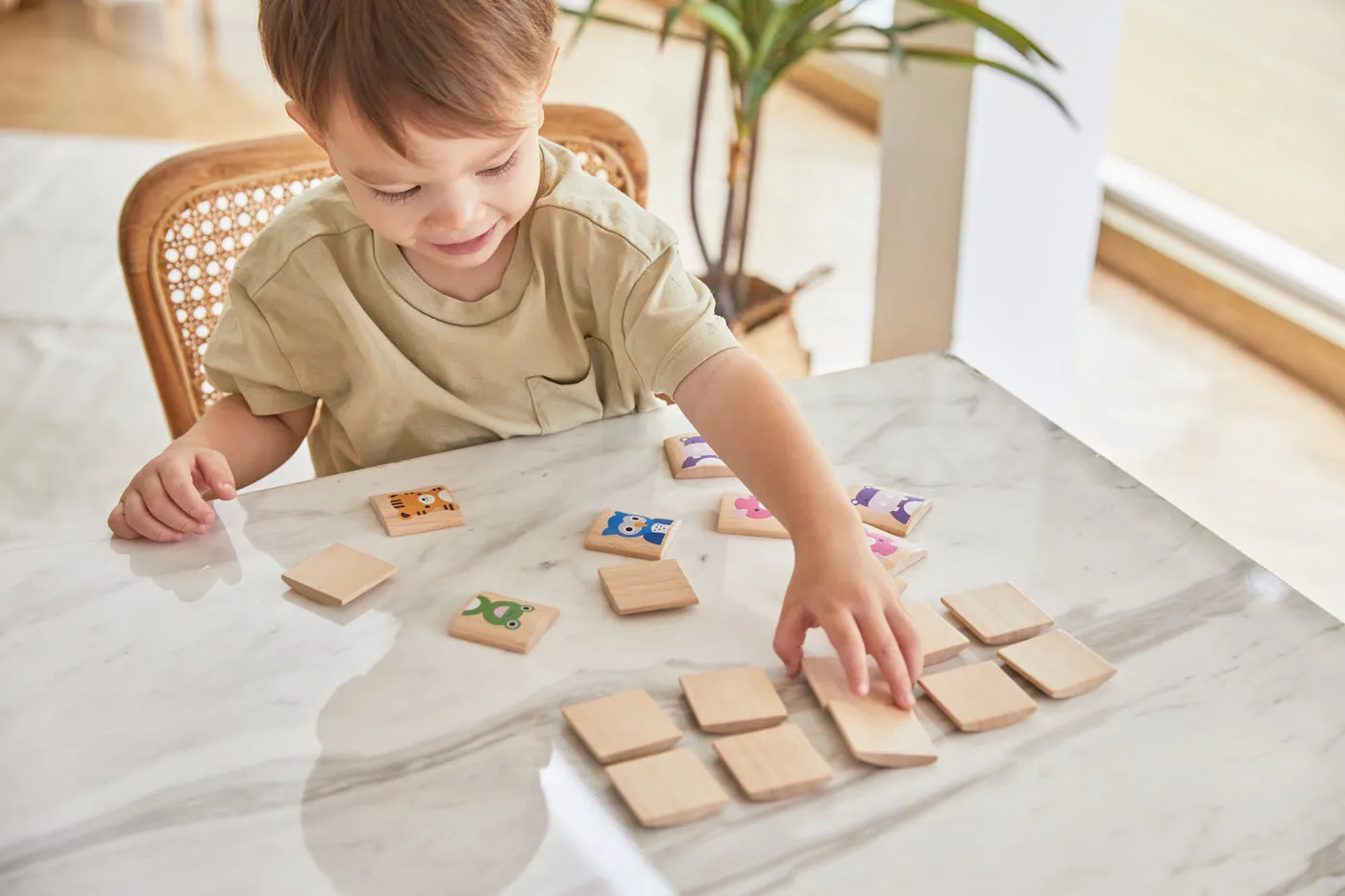 PlanToys Matching Animals Memory Game